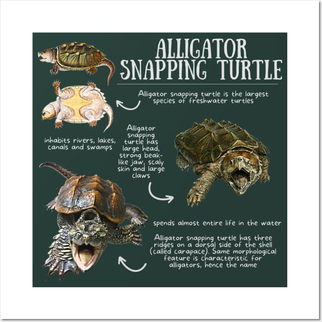 Animal Facts - Alligator Snapping Turtle Wall Art by Animal Facts and Trivias